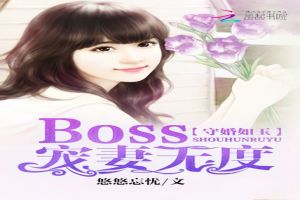 ػ:Boss޶ȷ